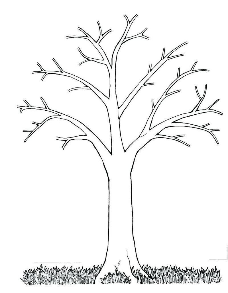 coloring pages of tree