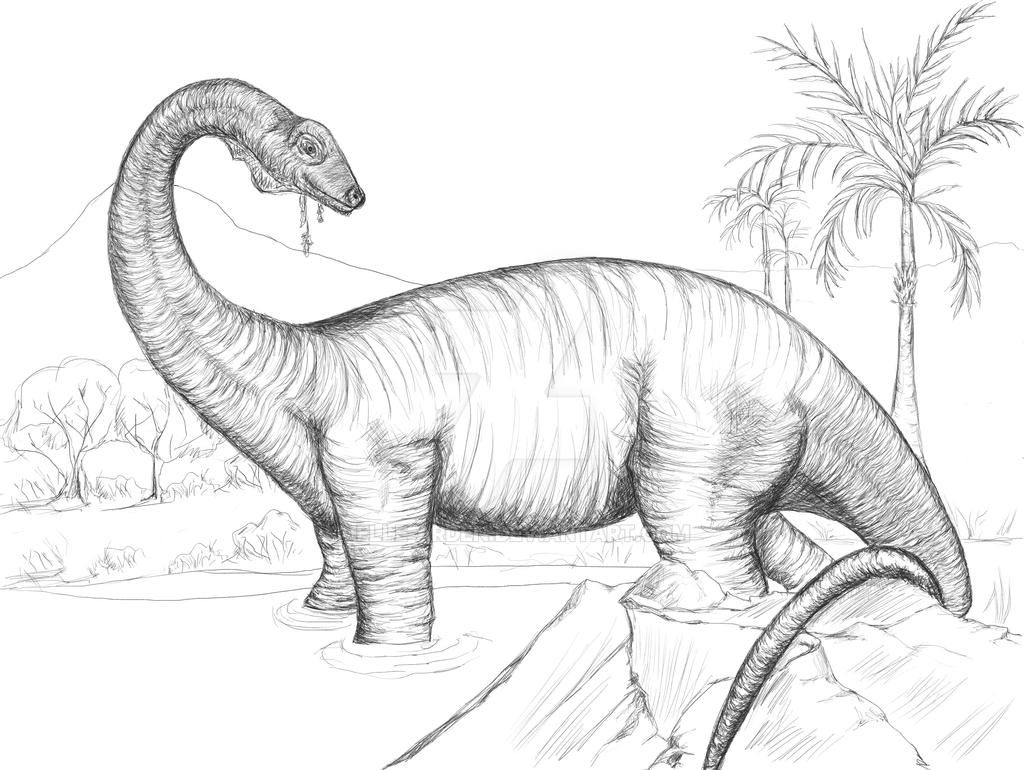 adult diplodocus coloring pages