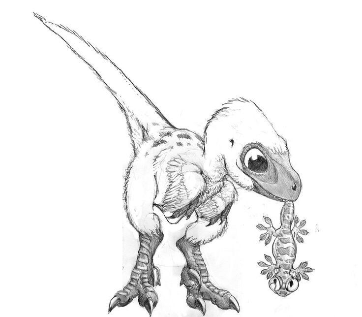 baby dromaeosaurus coloring pages
