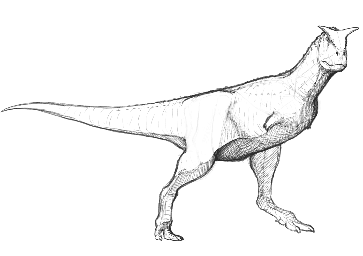 carnotaurus coloring pages
