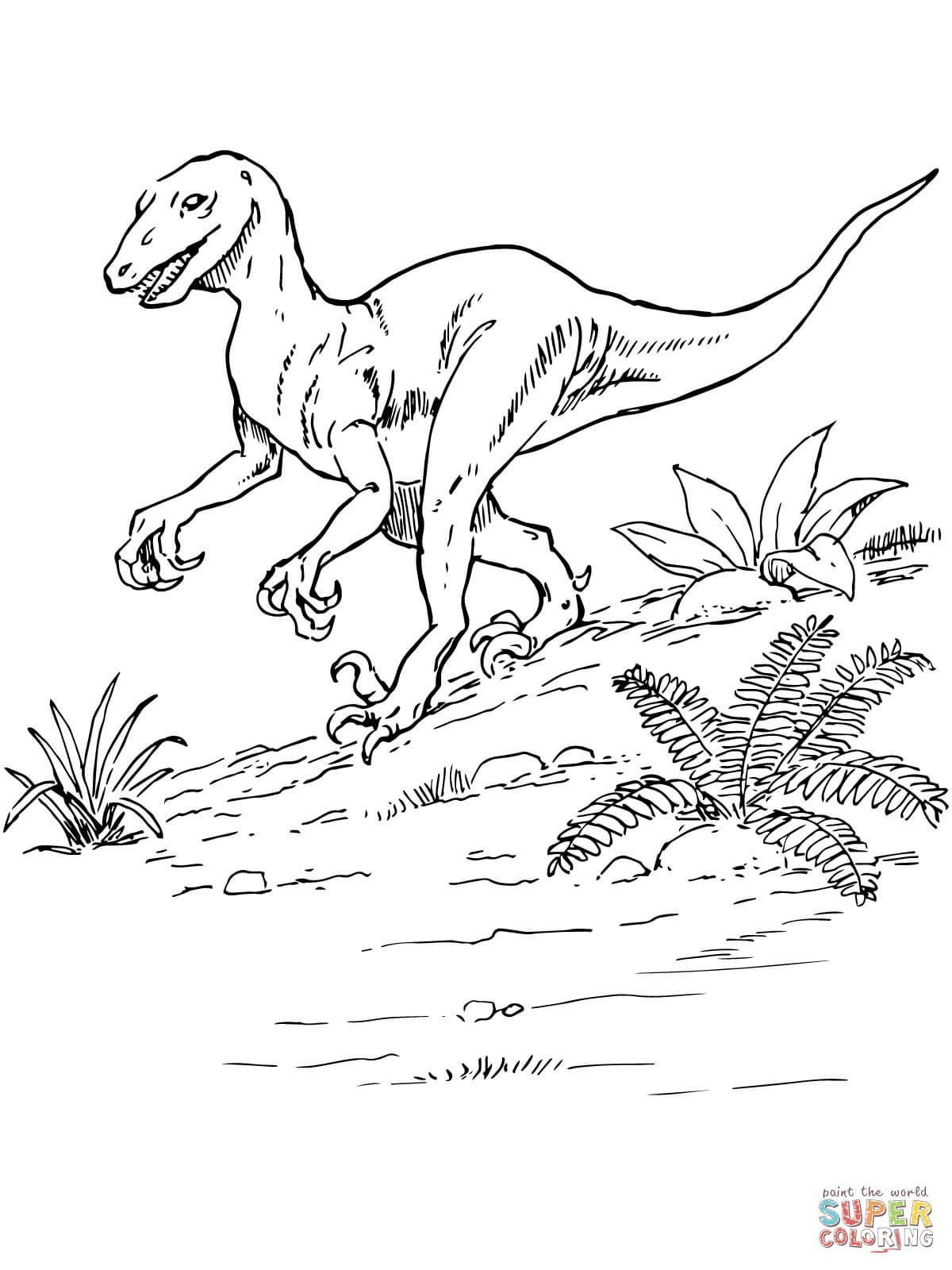 jurassic park raptor coloring pages fresh printable coloring pages decorative troodon coloring page th