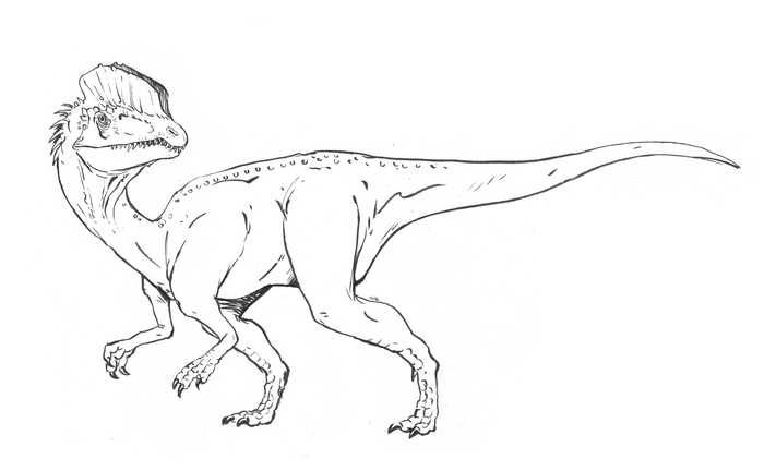 dinosaurs dilophosaurus coloring pages