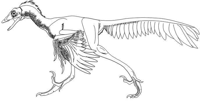 free dromaeosaurus coloring pages