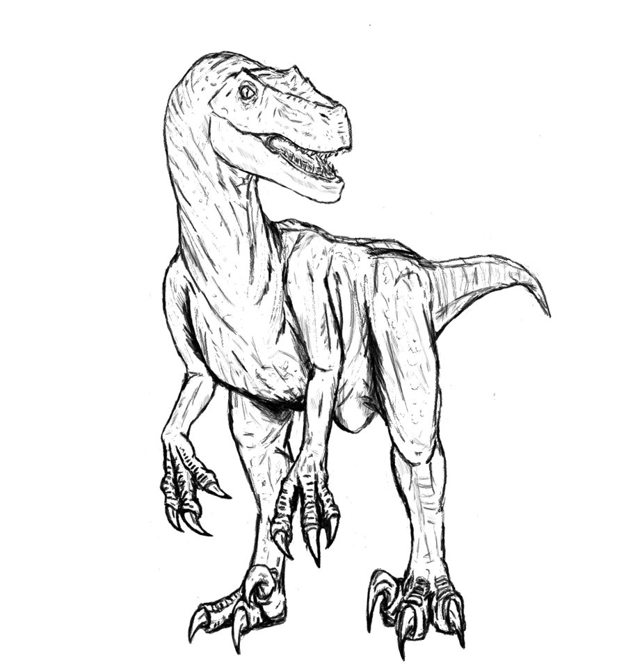 jurassic world velociraptor coloring pages