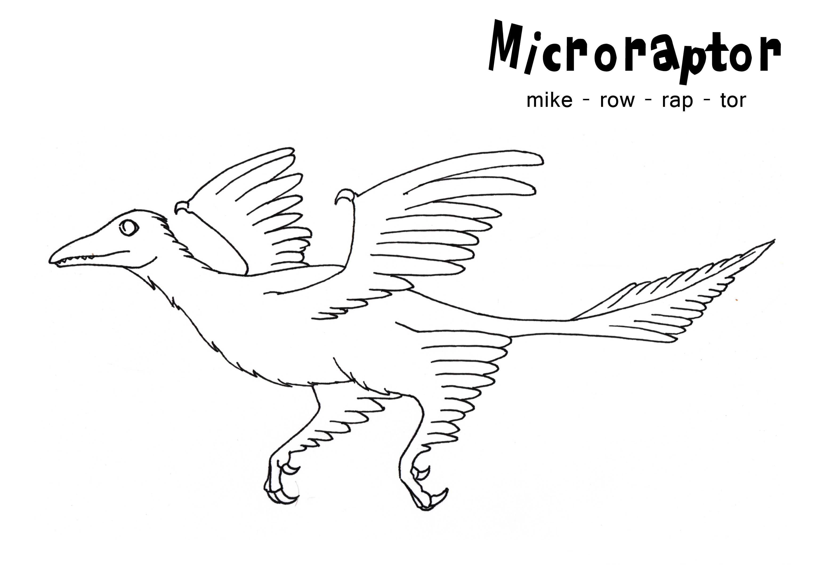 microraptor coloring pages