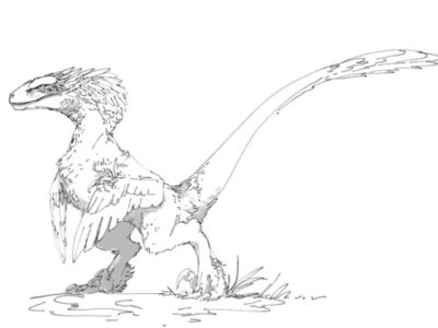 printable dromaeosaurus coloring pages