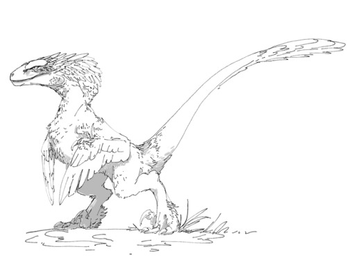 printable dromaeosaurus coloring pages