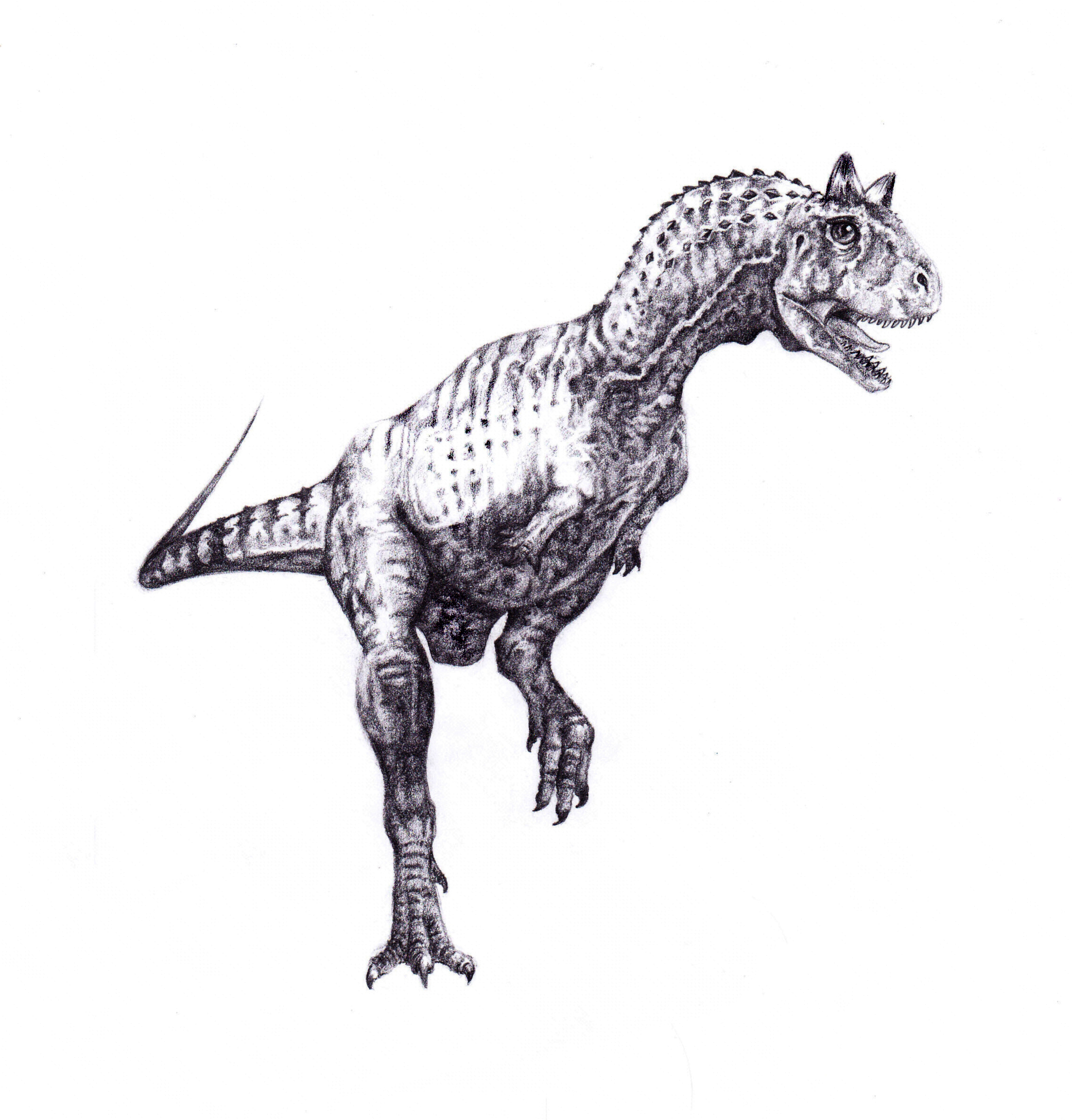realistic carnotaurus coloring pages