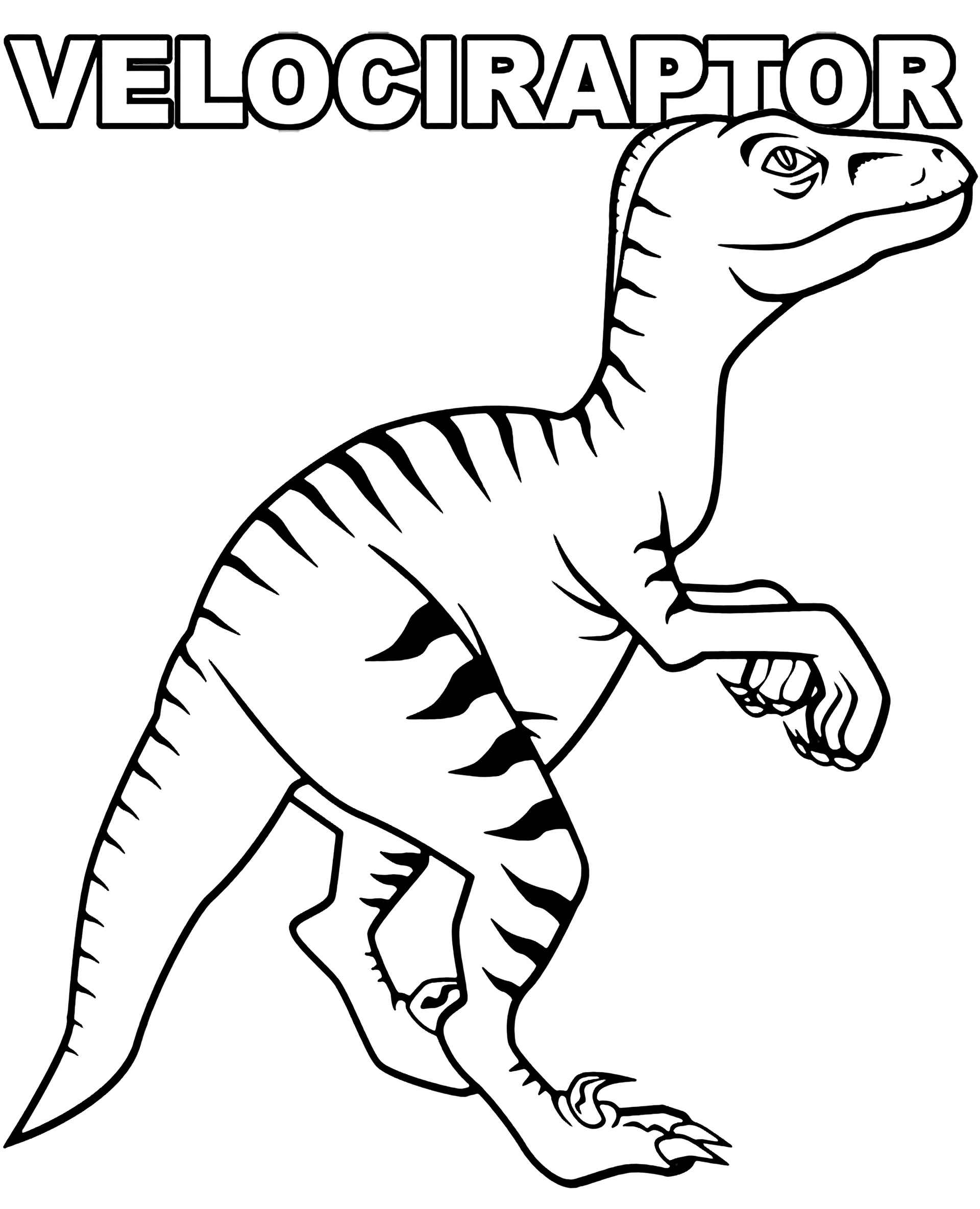 fast dinosaur velociraptor