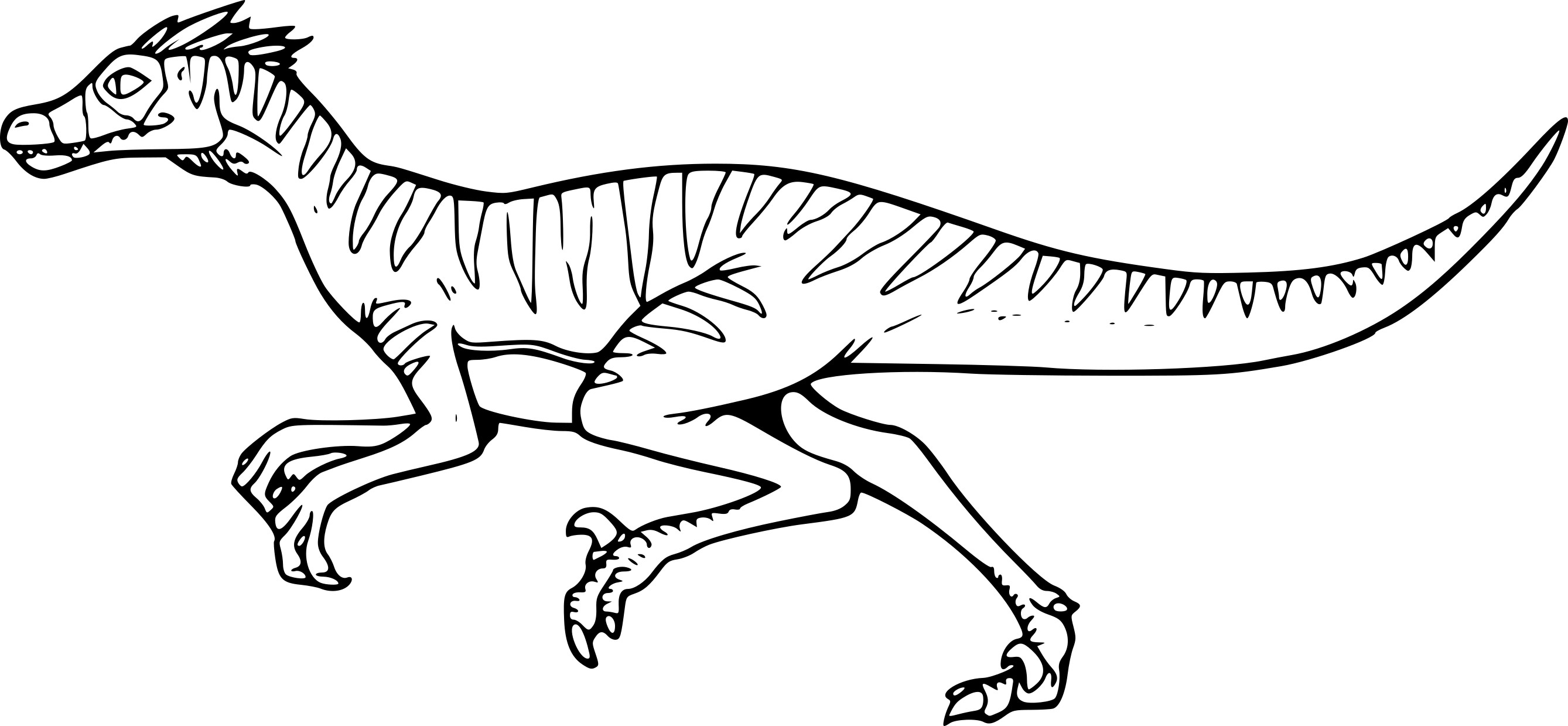 velociraptor coloring picture