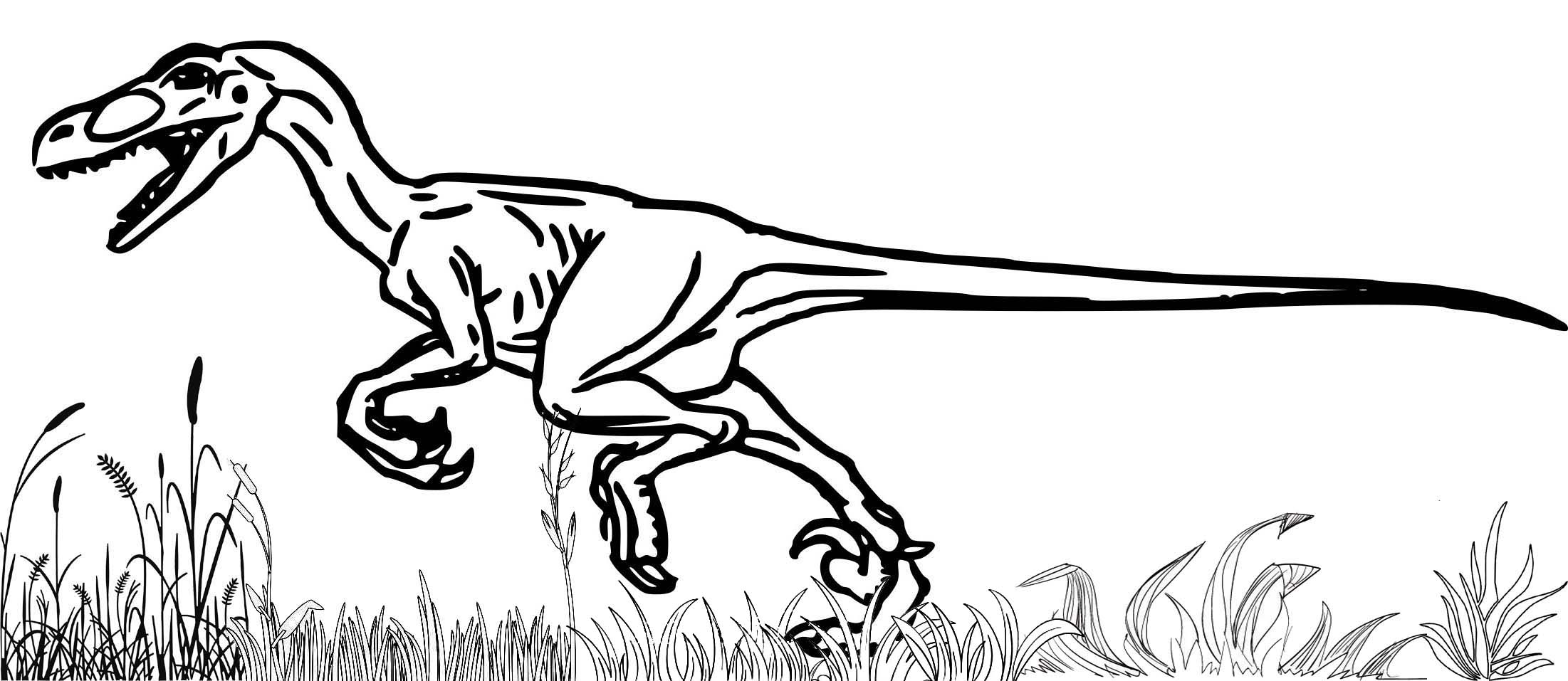 velociraptor colouring pages