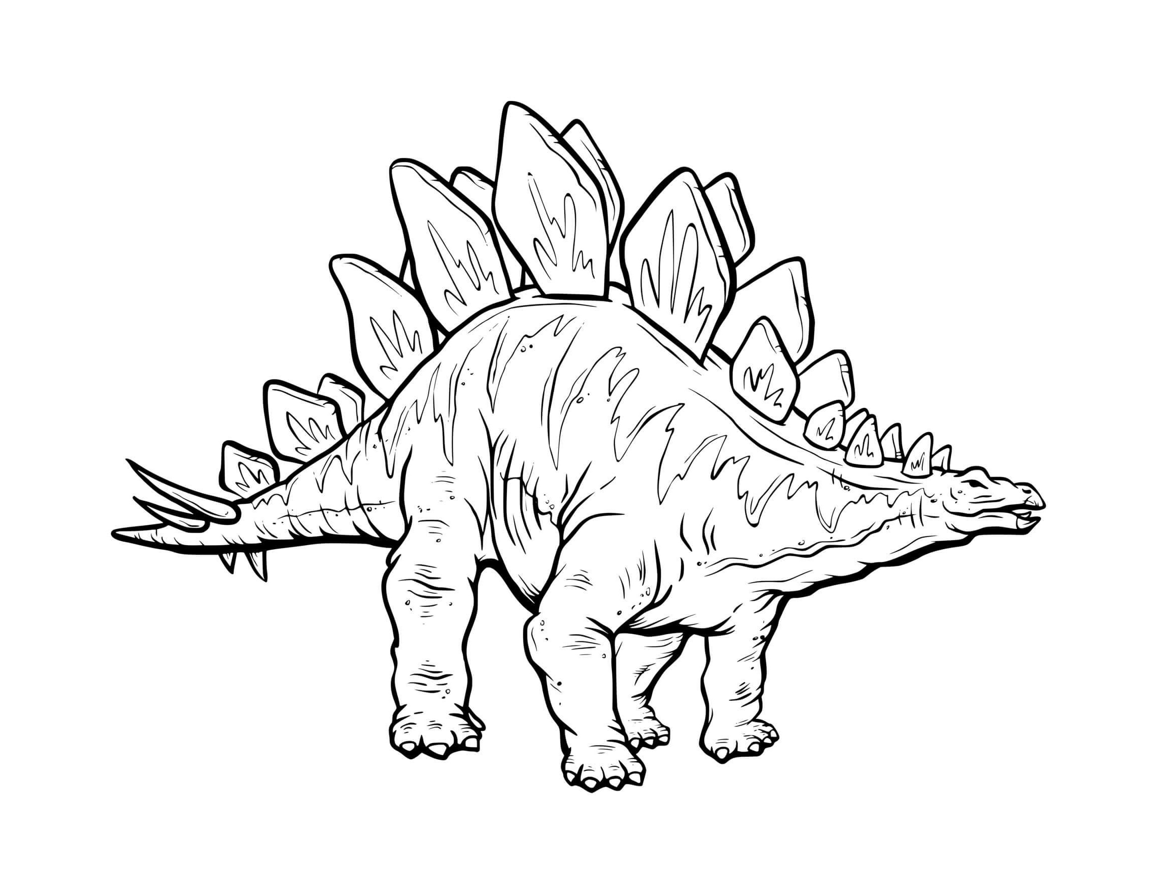 printable coloring pages of stegosaurus