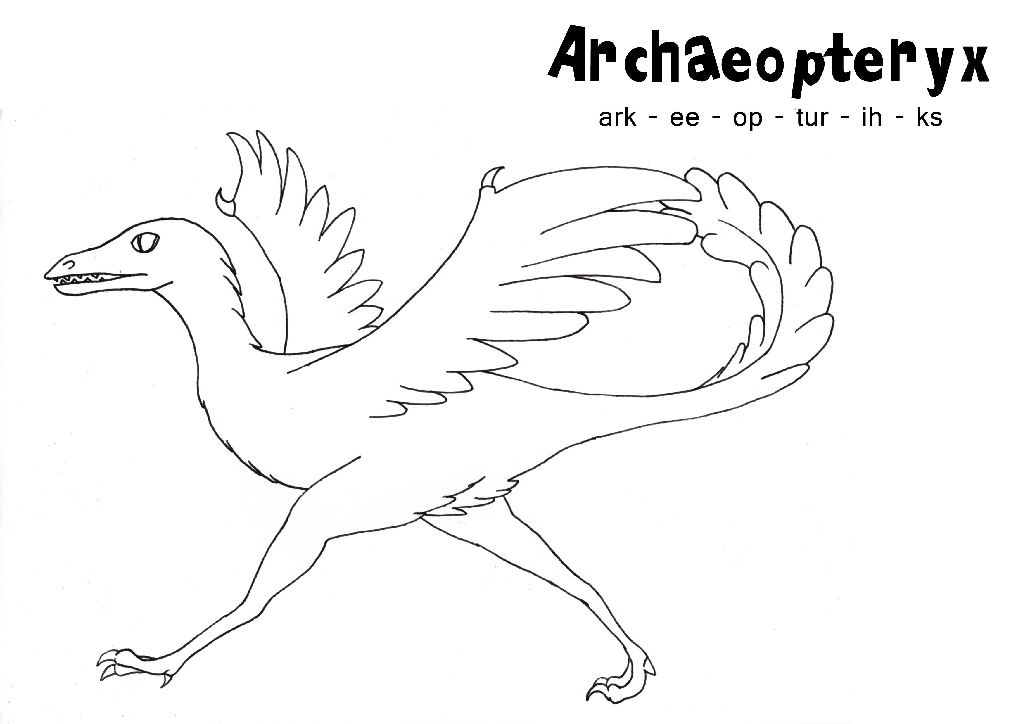 archaeopteryx coloring pages
