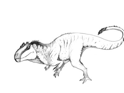 coloring pages allosaurus