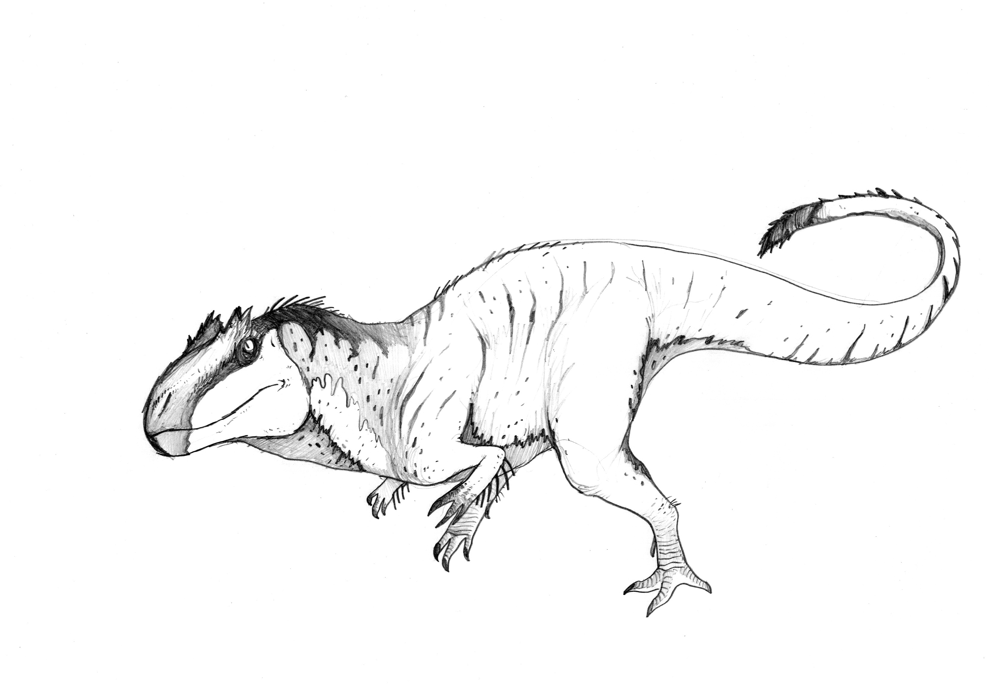 coloring pages allosaurus