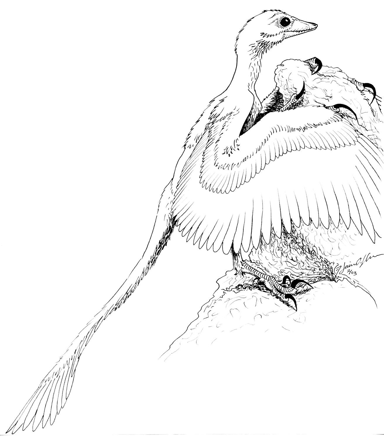 free archaeopteryx coloring pages