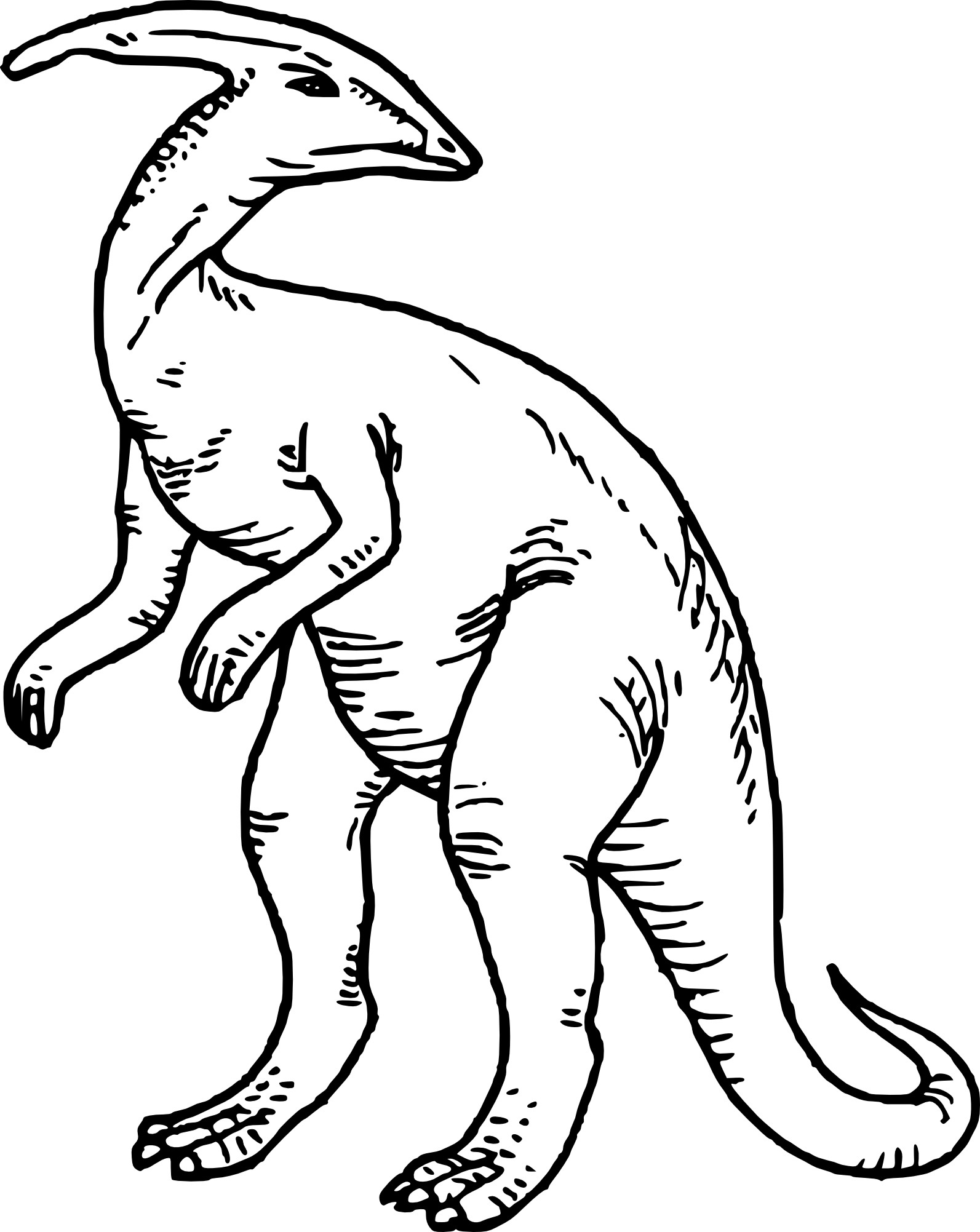 free parasaurolophus coloring pages