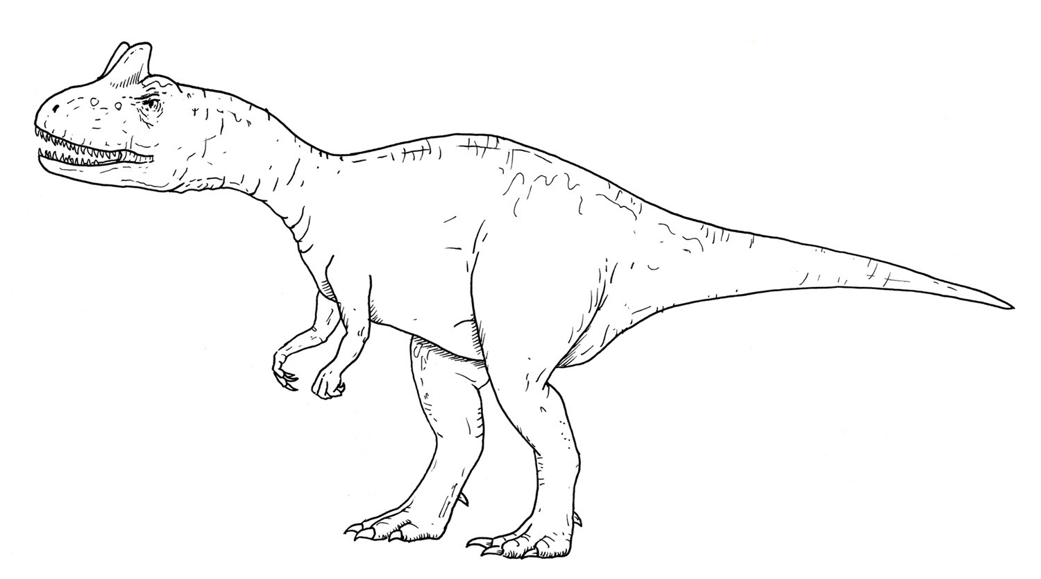 free printable allosaurus coloring pages
