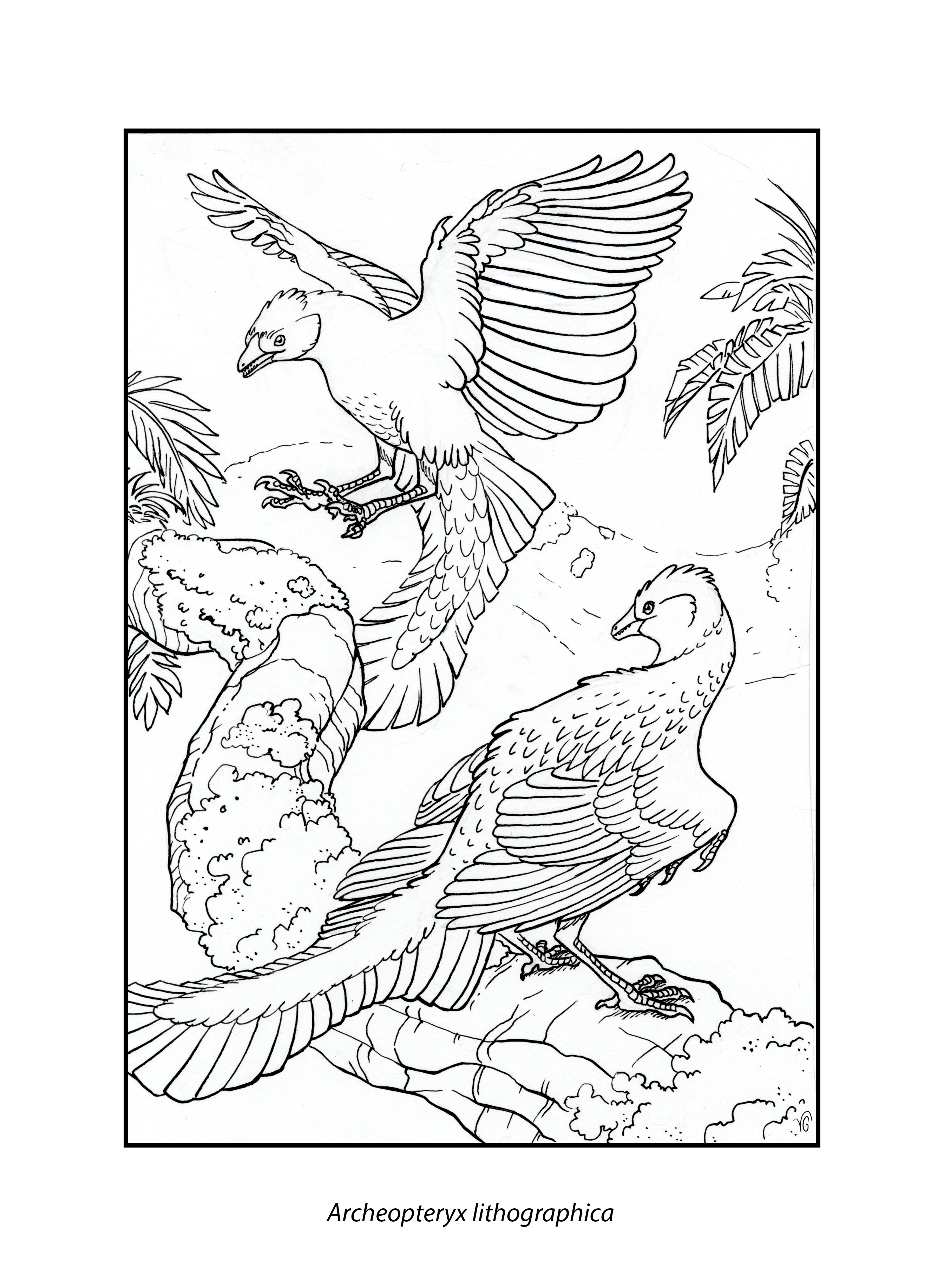 free printable archaeopteryx coloring pages