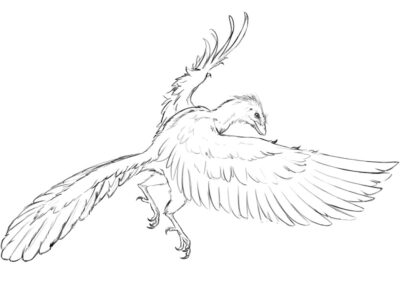 printable archaeopteryx coloring pages