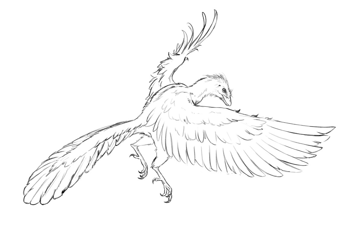 printable archaeopteryx coloring pages