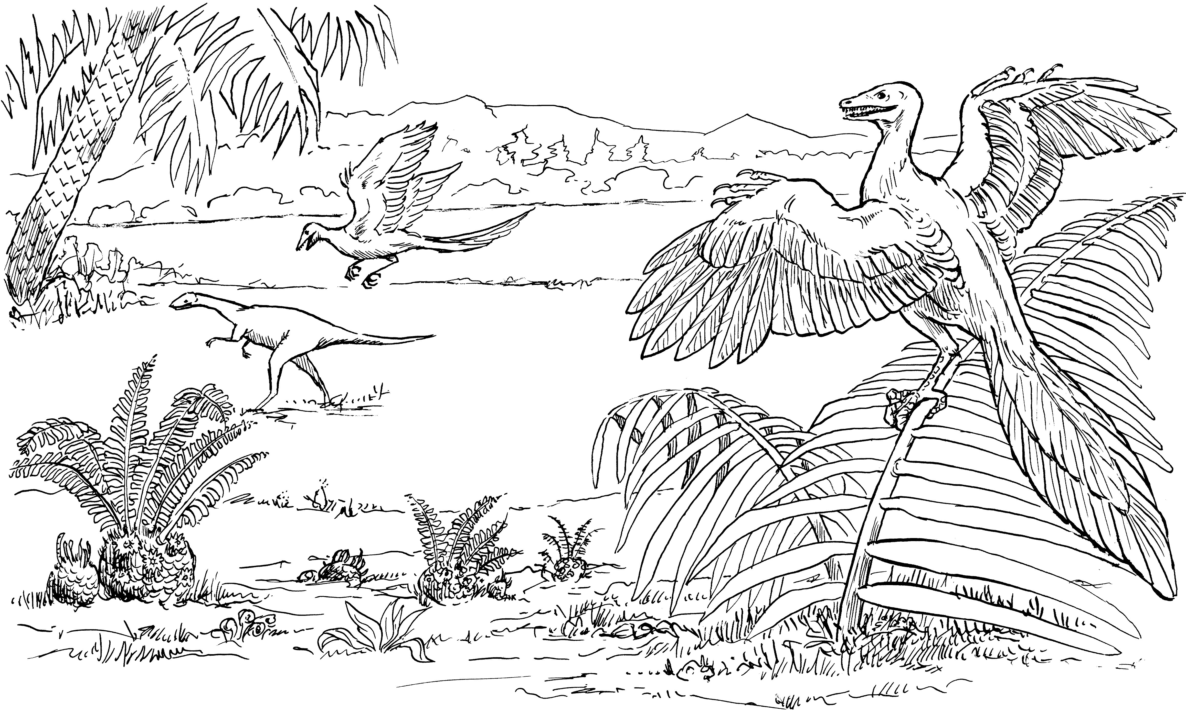 realistic archaeopteryx coloring pages
