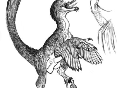 realistic deinonychus coloring pages