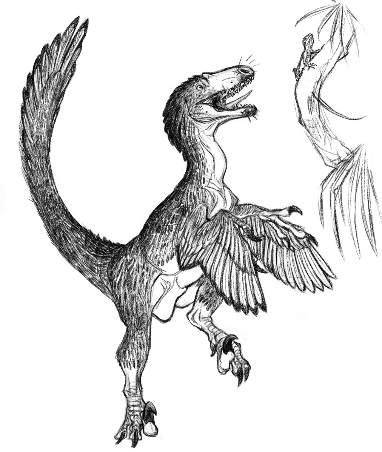 realistic deinonychus coloring pages