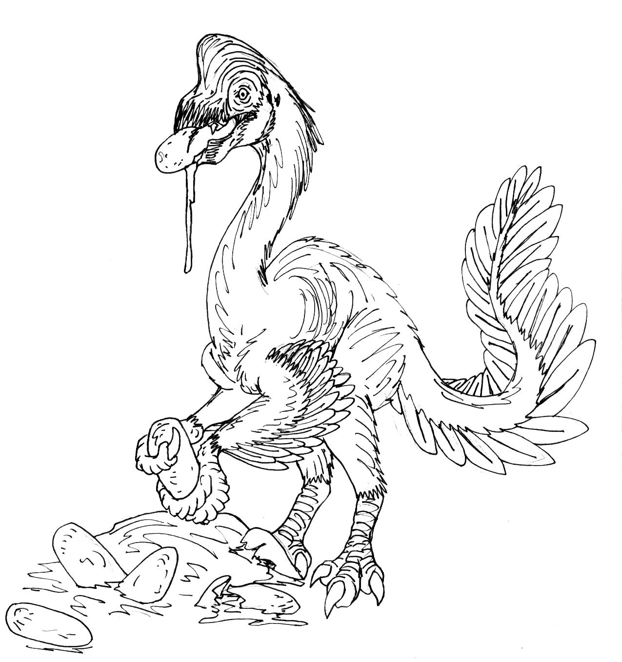 realistic oviraptor coloring pages