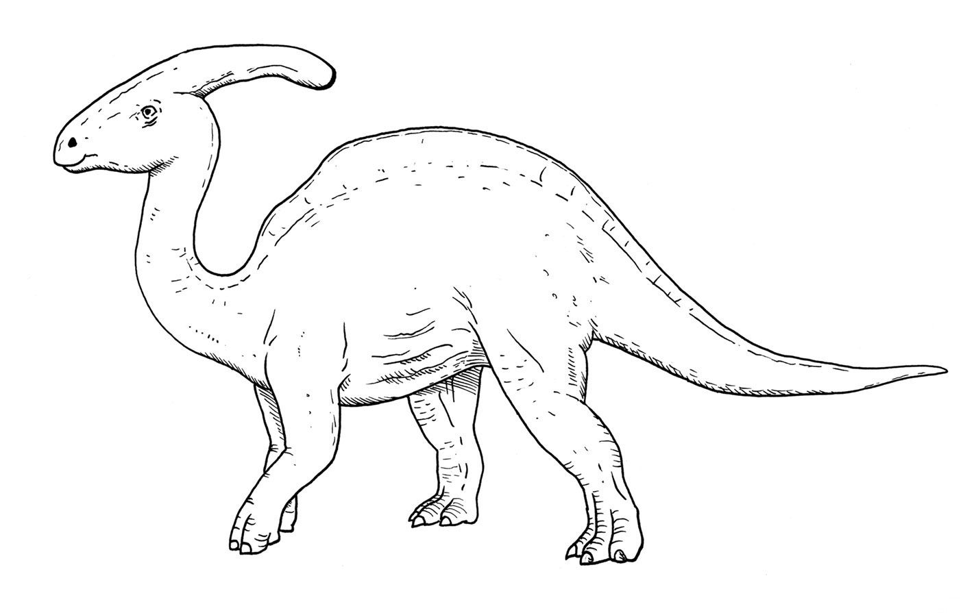 realistic parasaurolophus coloring pages