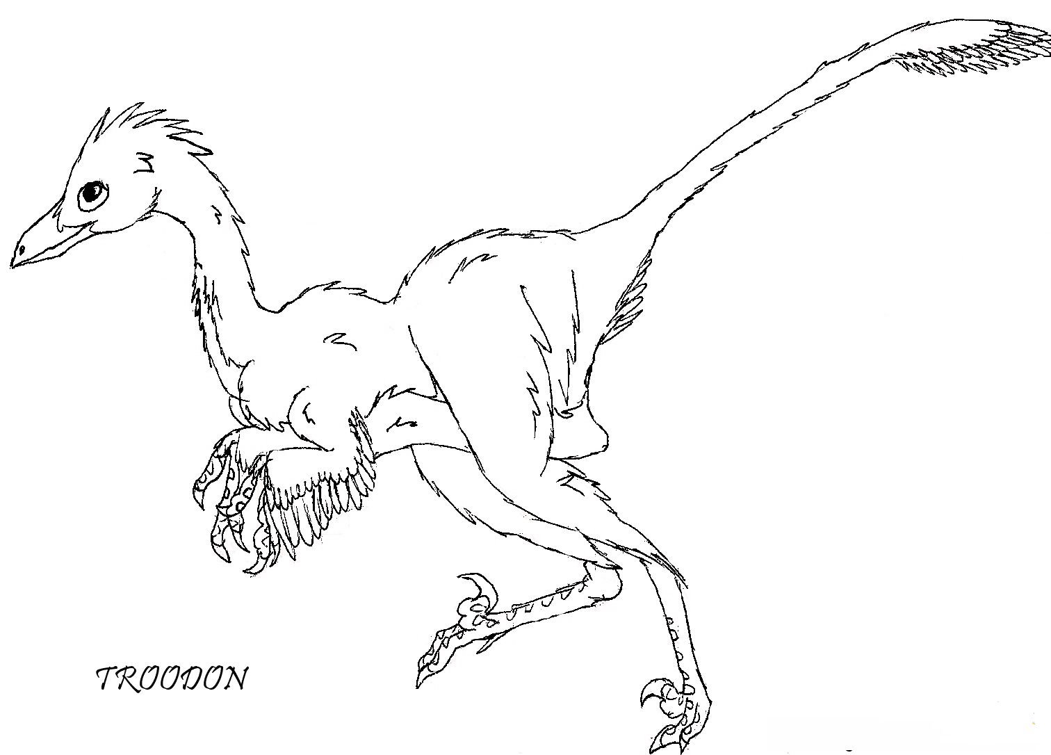 troodon coloring pages