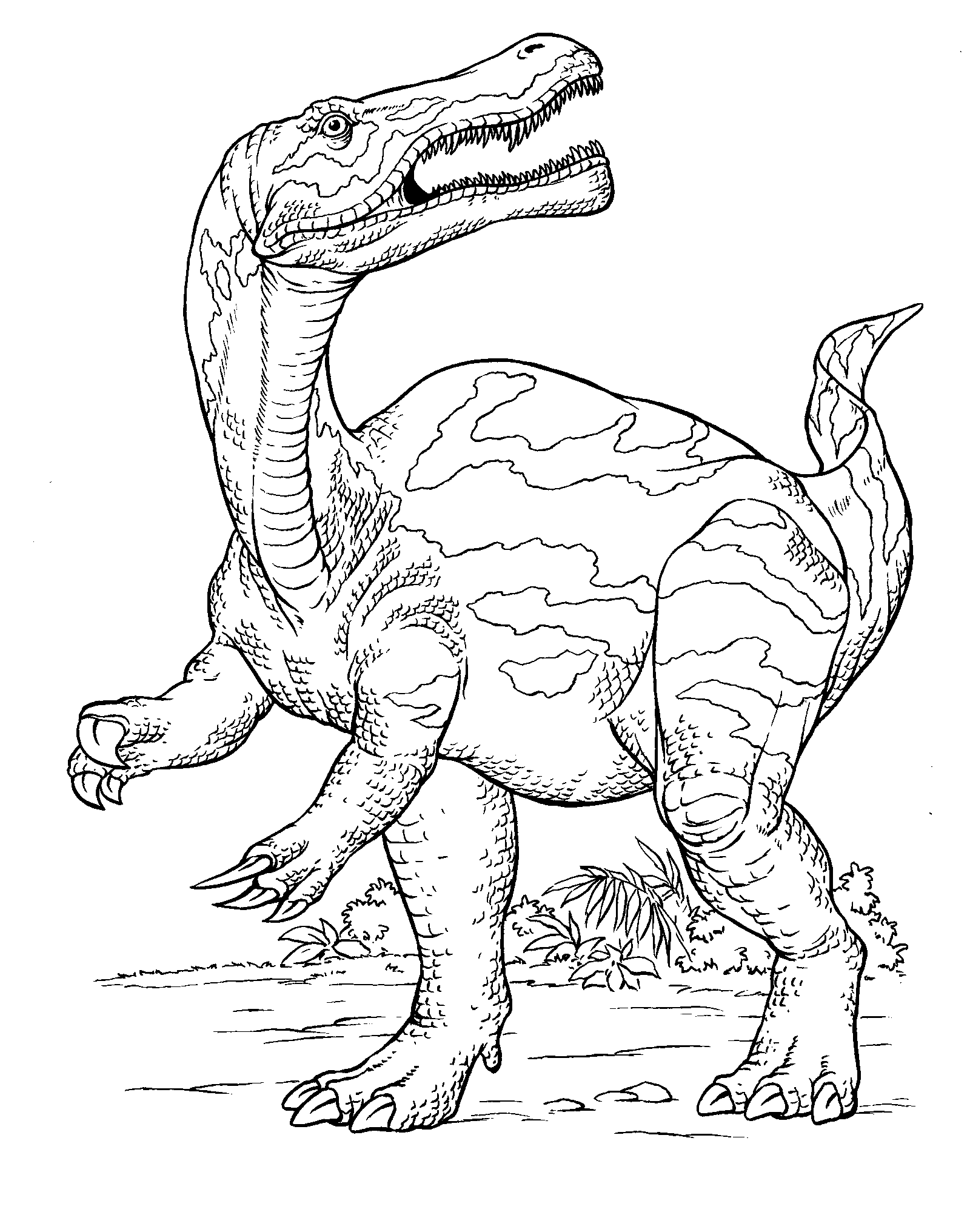 free printable baryonyx coloring pages