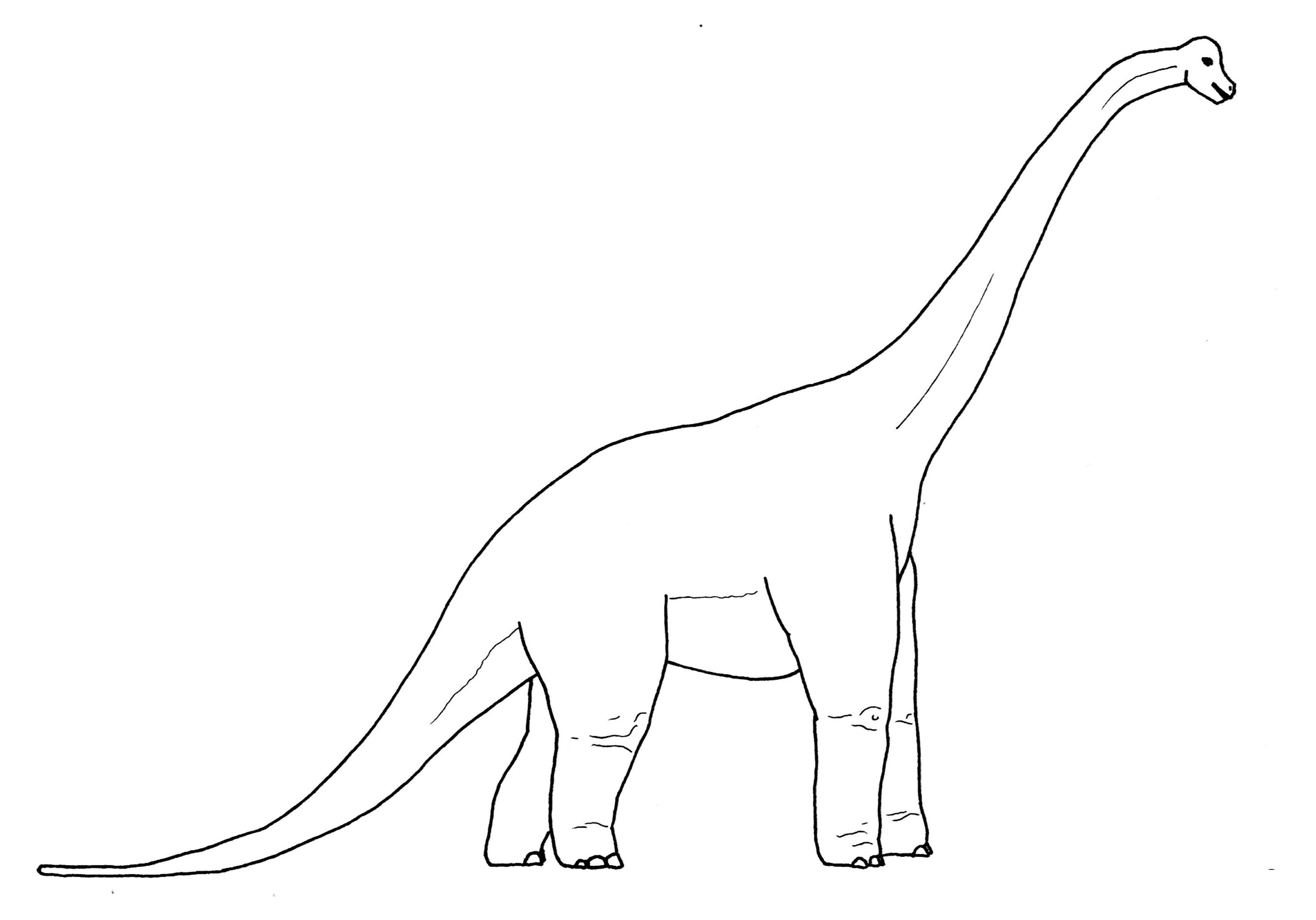 brachiosaurus coloring pages