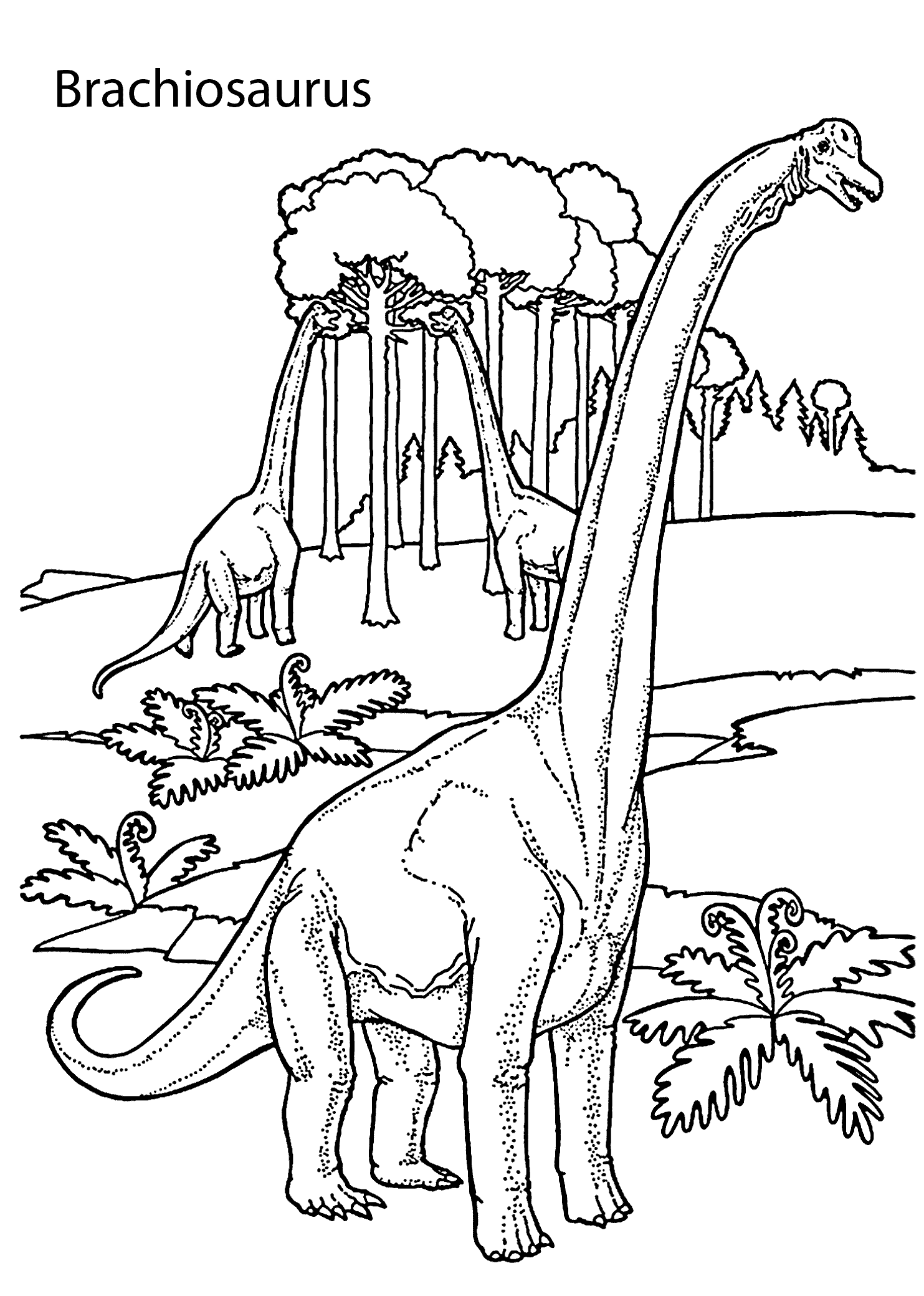 brachiosaurus colouring page