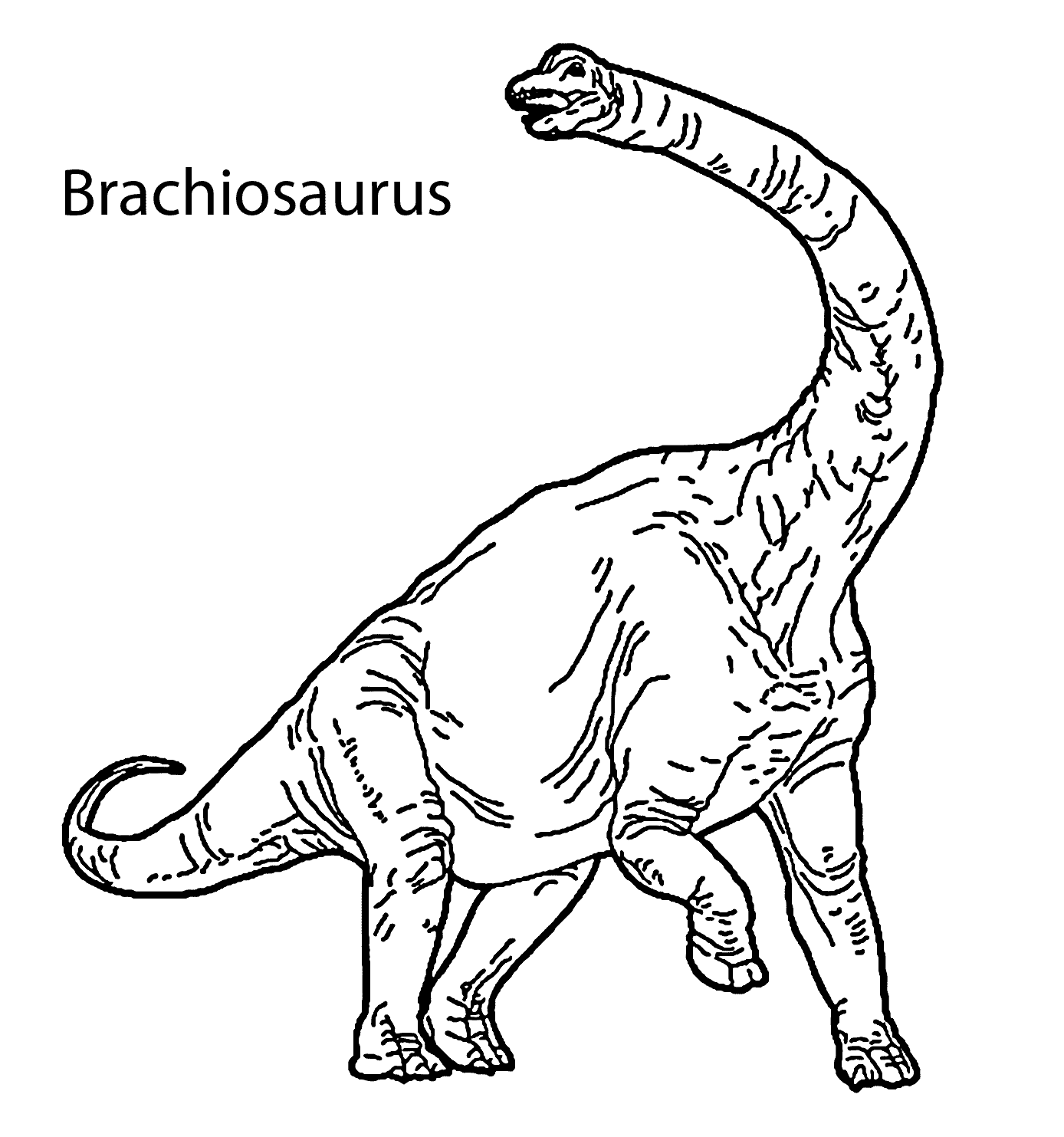 brachiosaurus dinosaur coloring pages