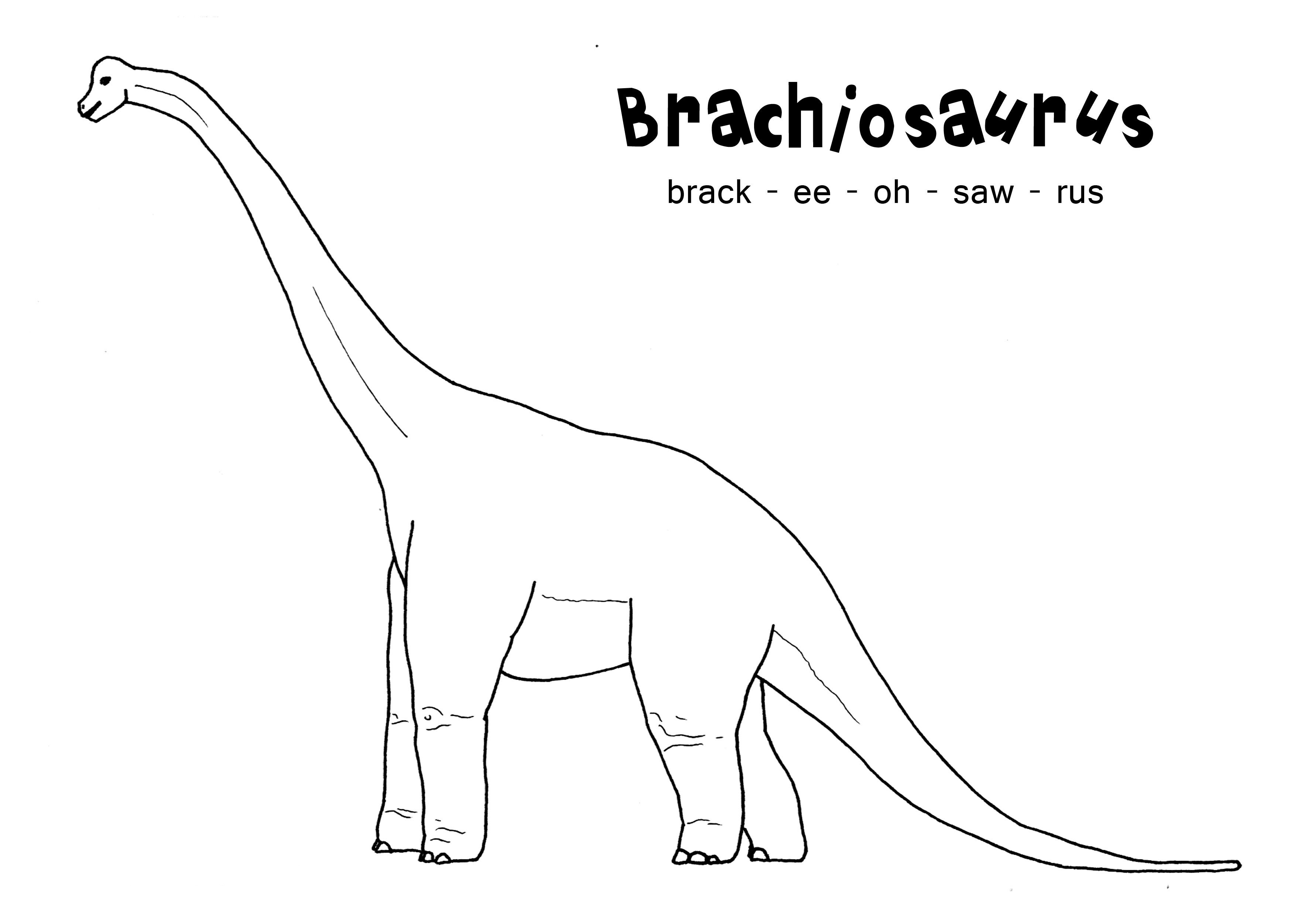 dinosaur brachiosaurus coloring page