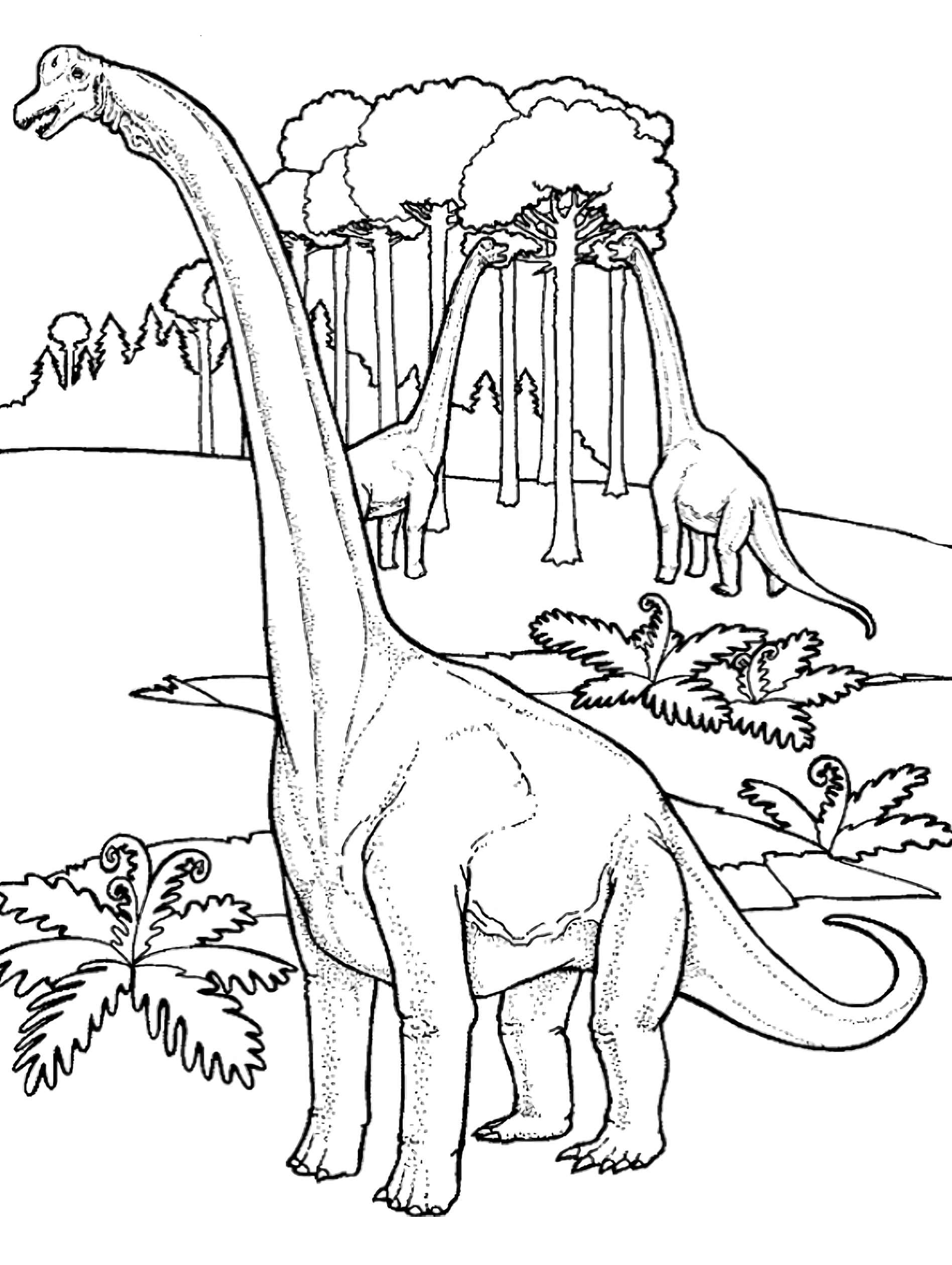 two prehistoric brachiosaurus coloring page