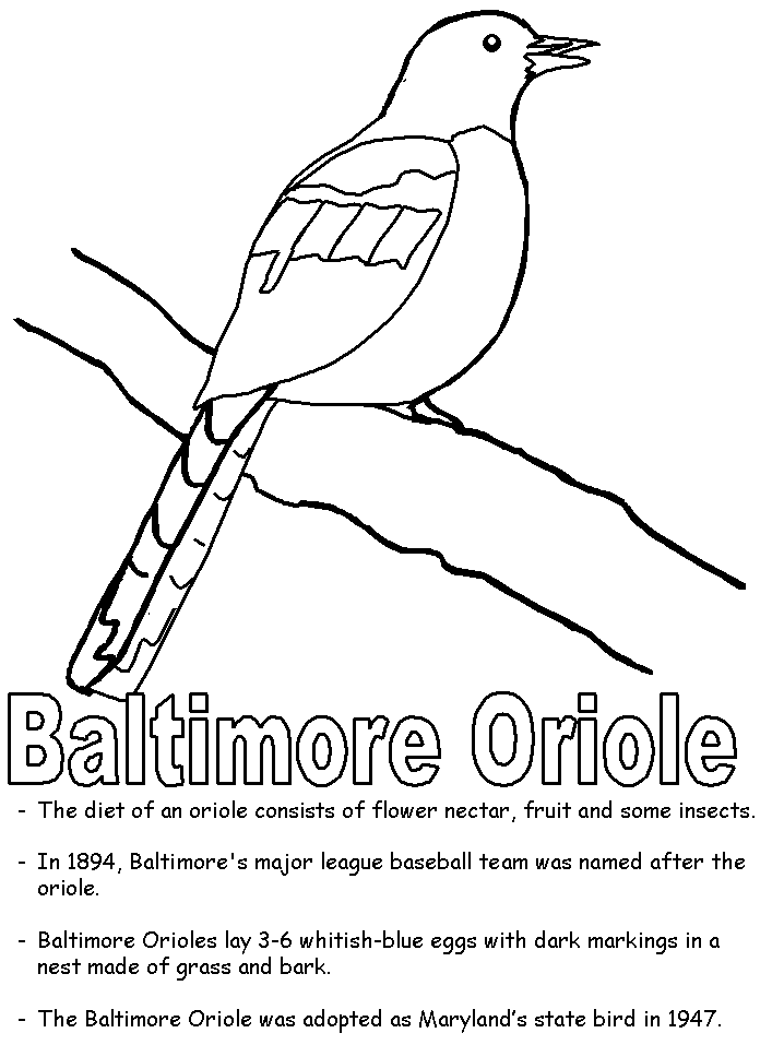 baltimore orioles coloring pages printable