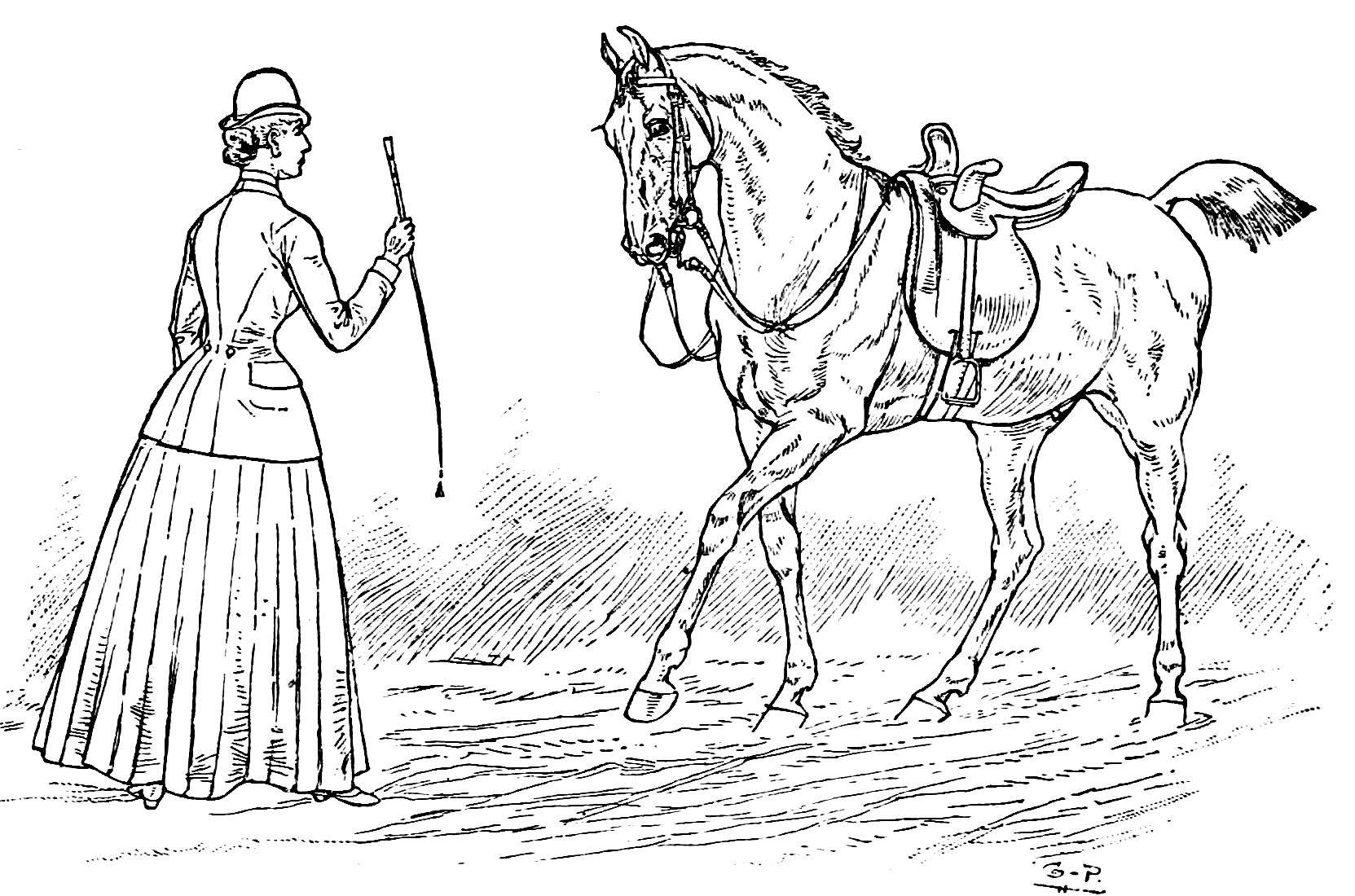 adult dressage coloring pages