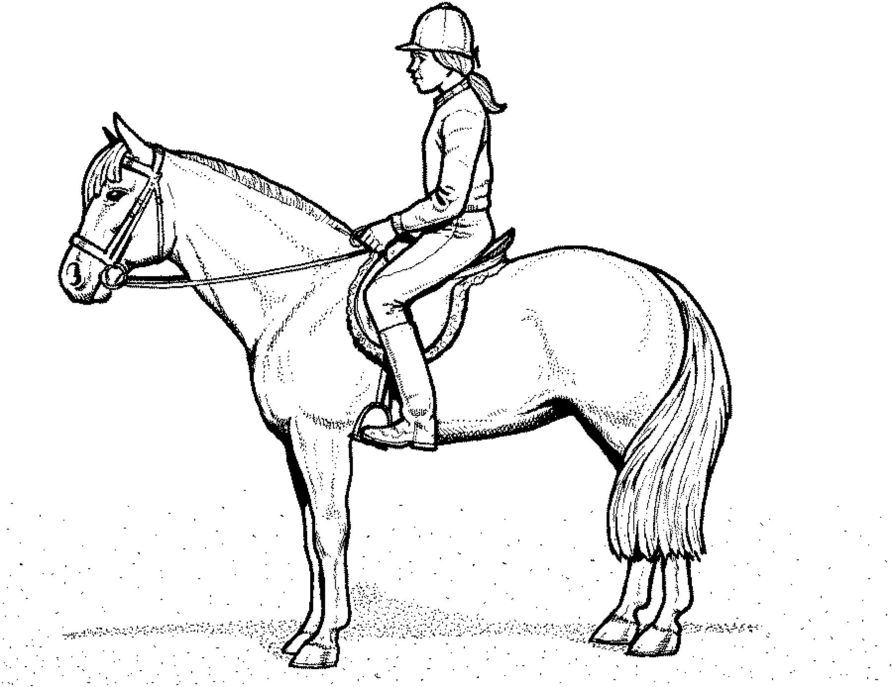 dressage coloring pages printable