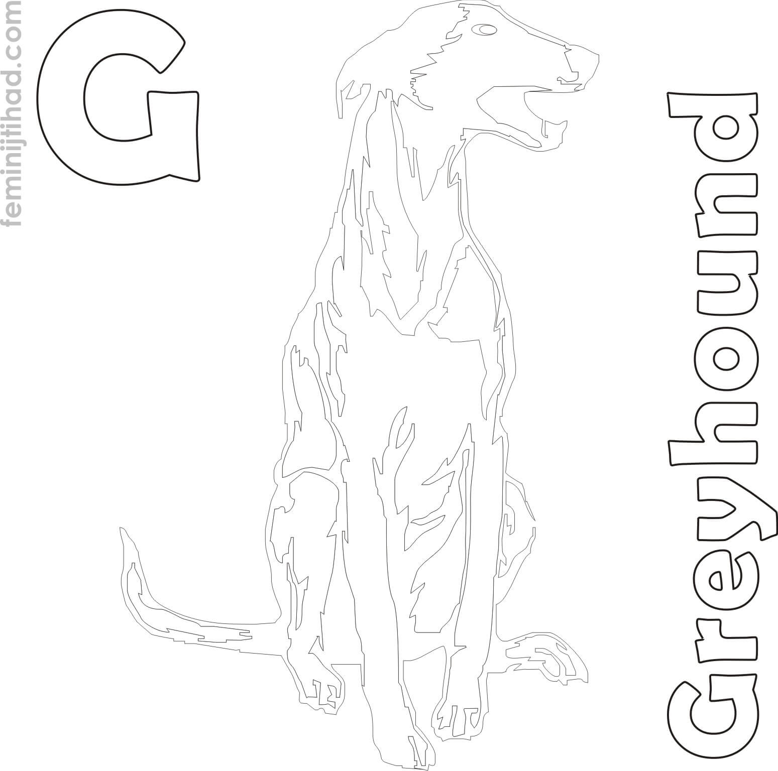 coloring greyhound page free