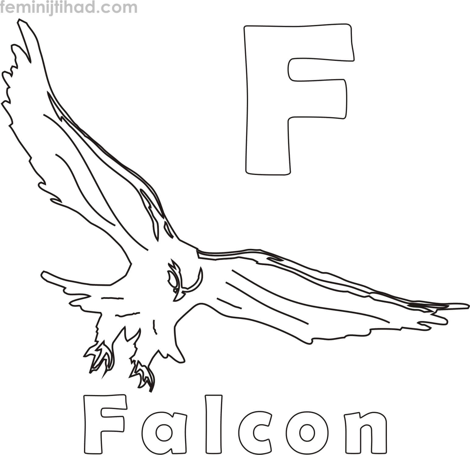 coloring page falcon bird