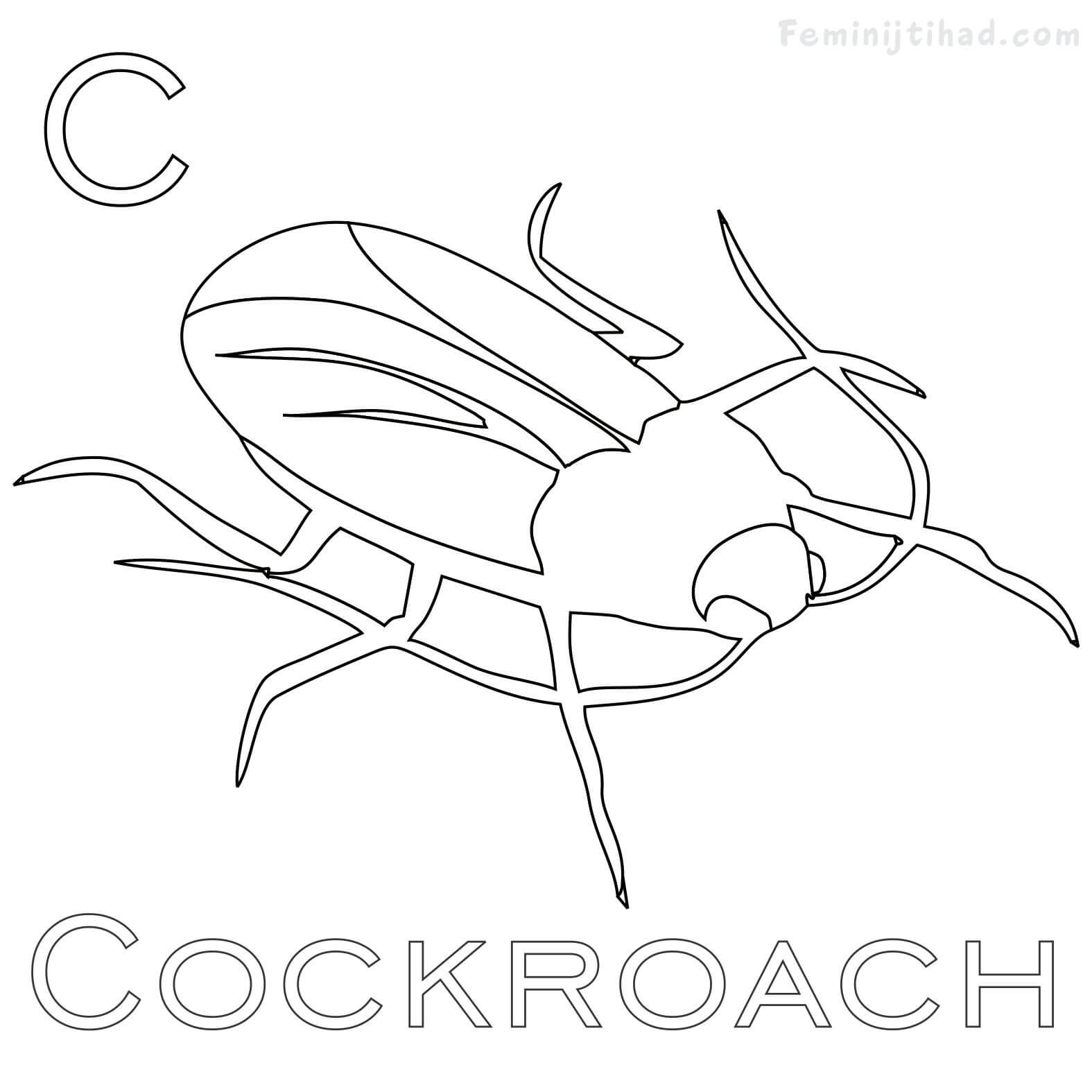 coloring page of a cockroach