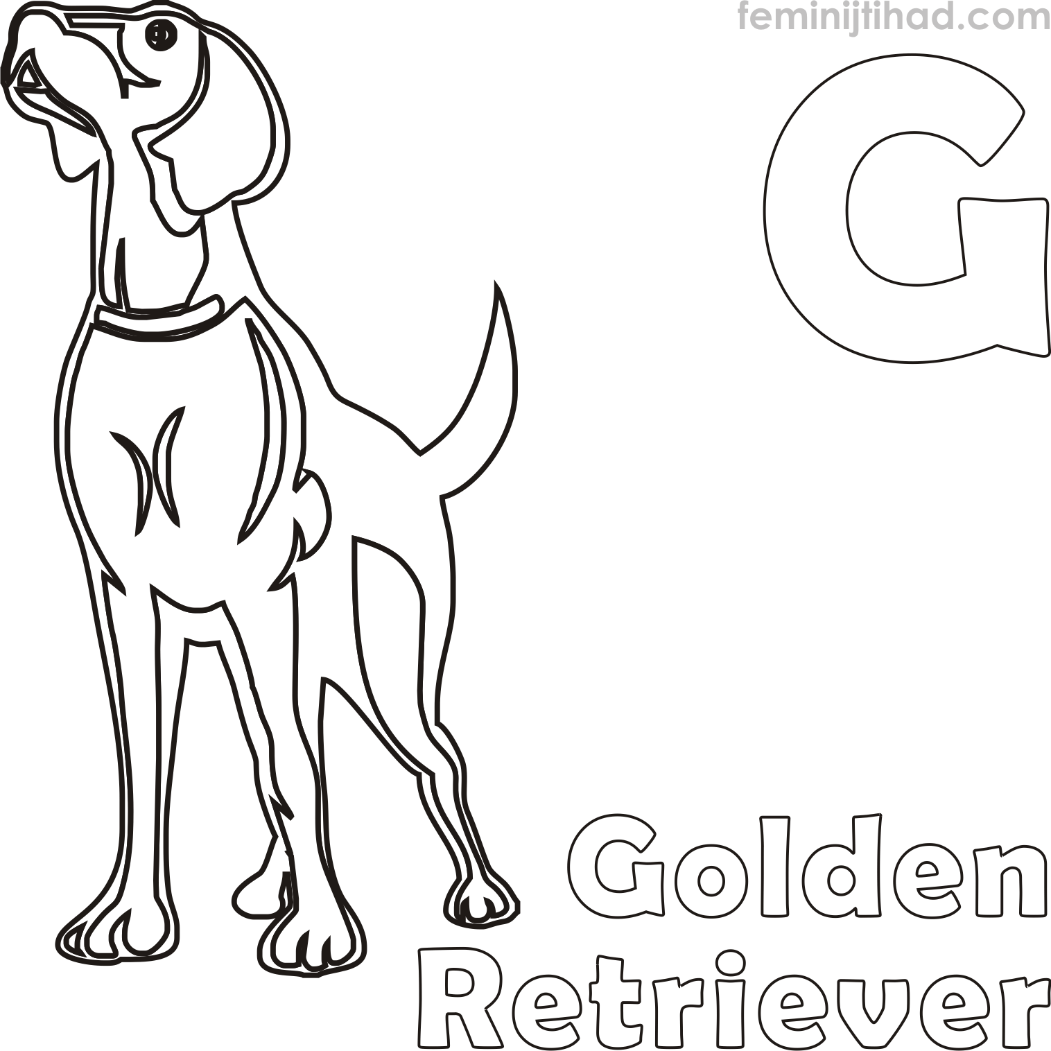 coloring page of a golden retriever