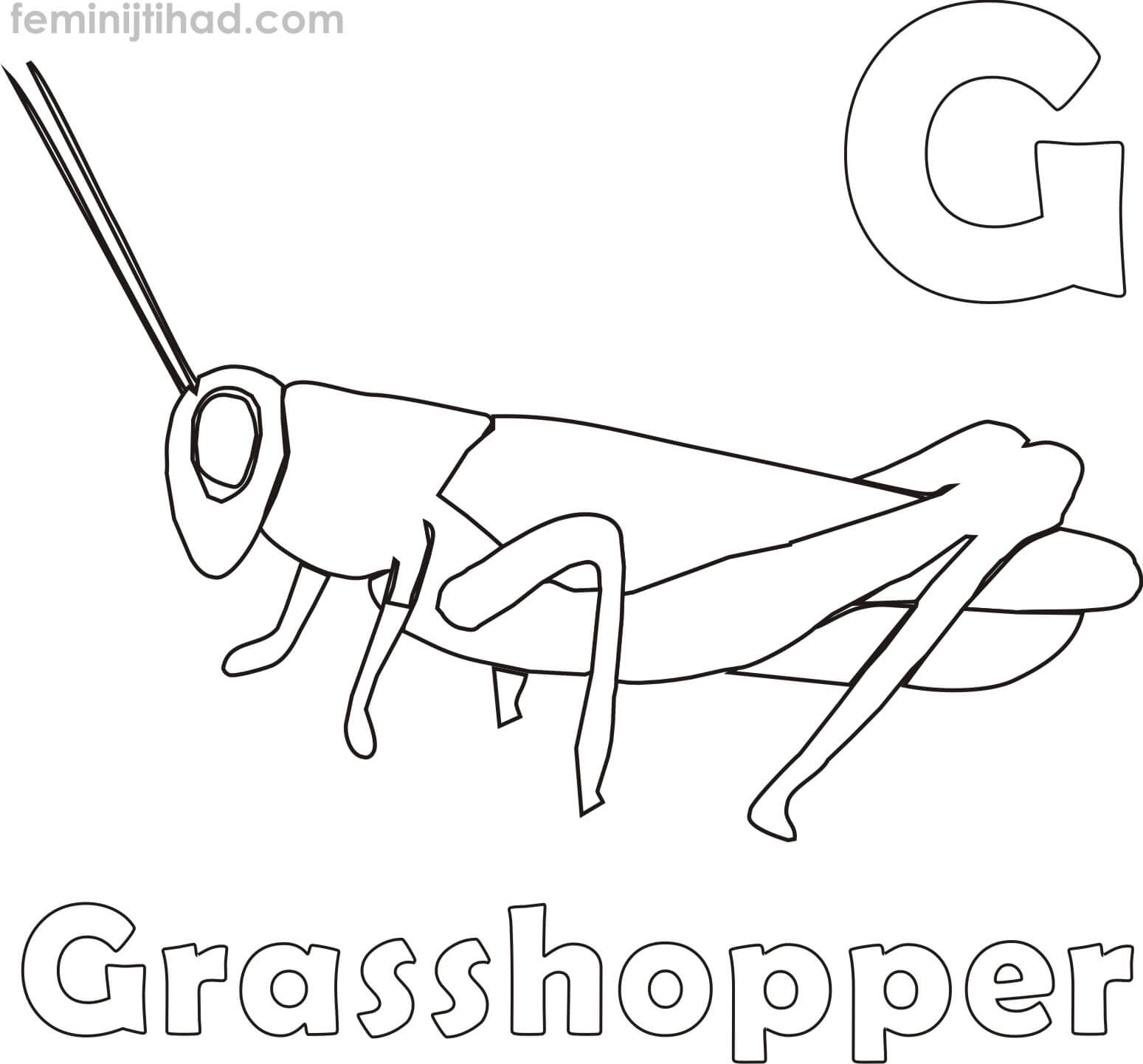 coloring page of a grasshopper