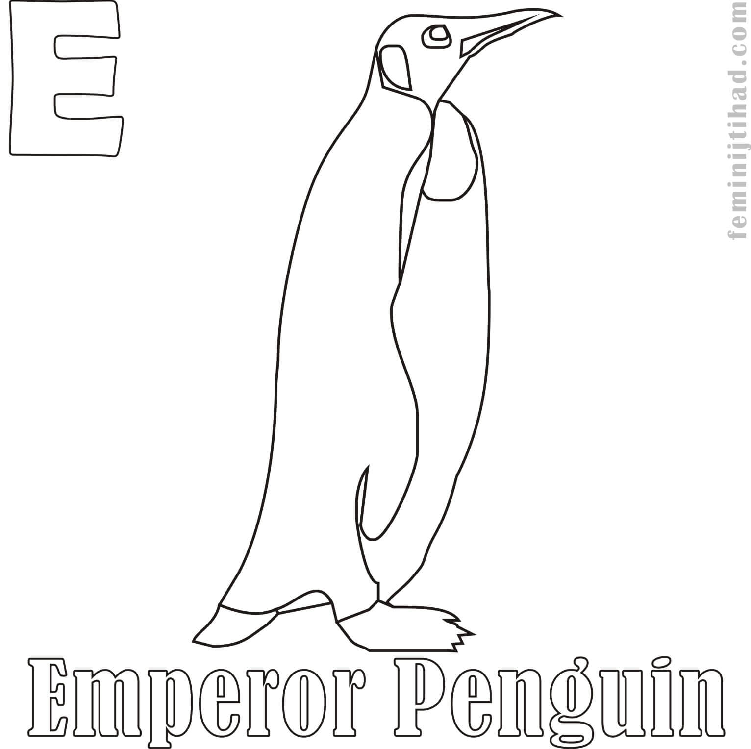 coloring page of emperor penguin