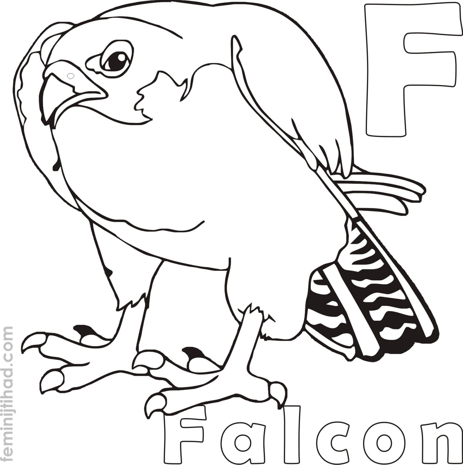 coloring page of falcon