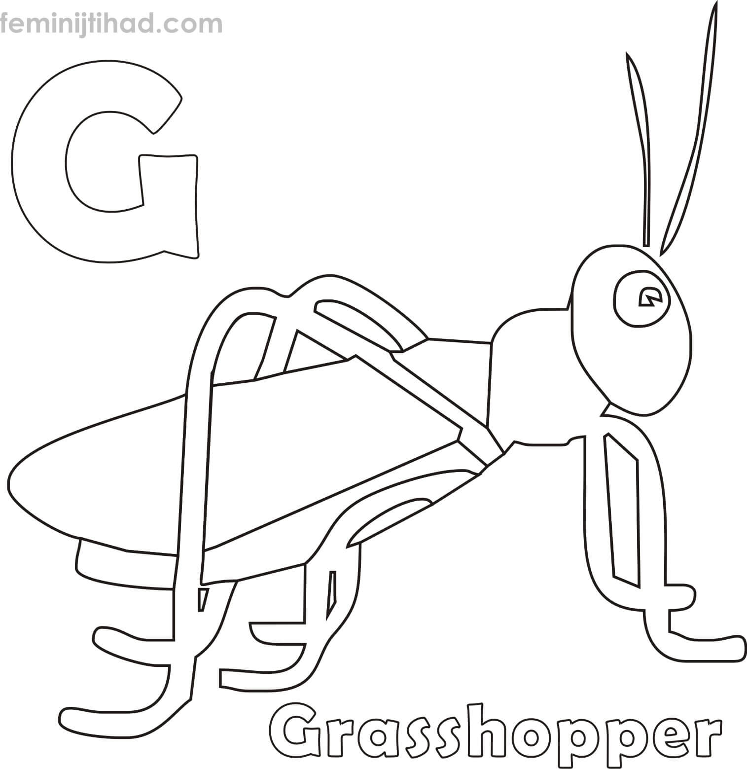 coloring page of grasshopper