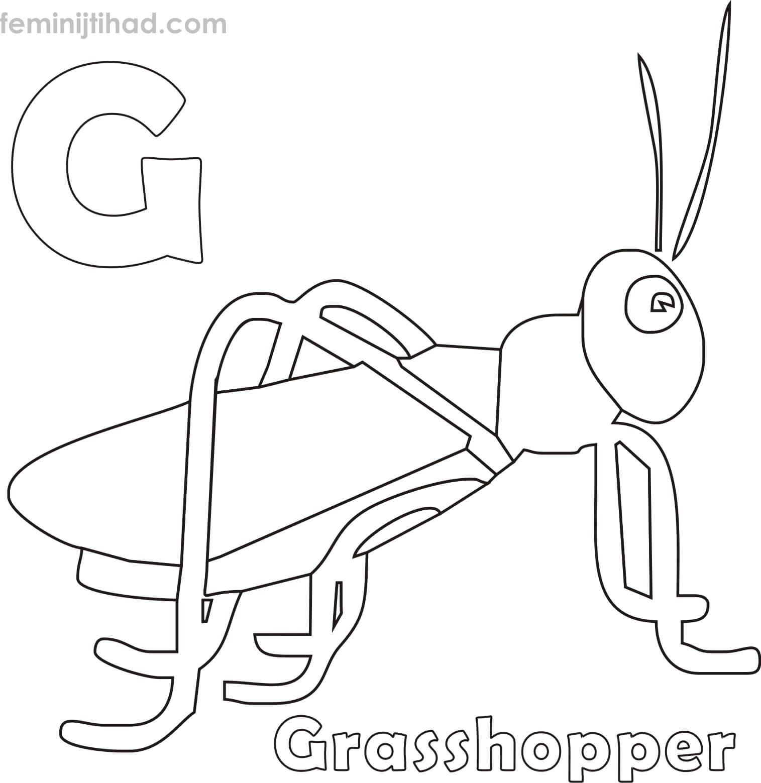 G For Grasshopper Coloring Pages PDF - Coloringfolder.com