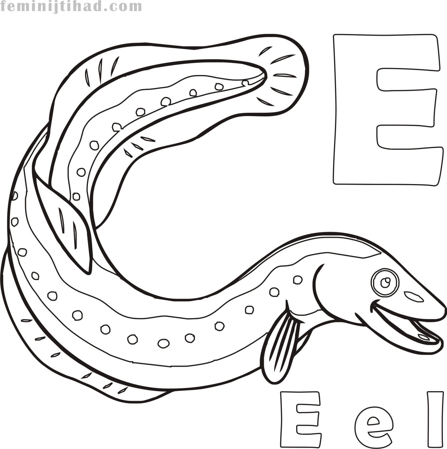 coloring pages of eel printable
